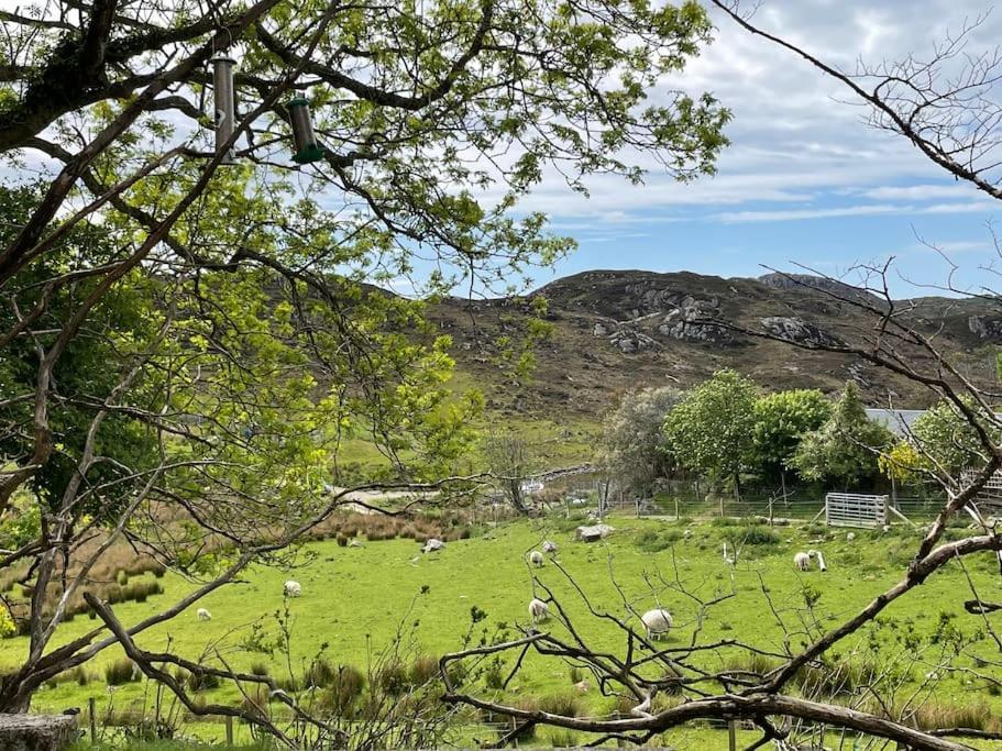 Beautiful Cottage In A Wonderful Highland Setting Drumbeg Luaran gambar
